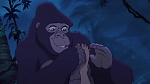Image Tarzan 2 : L'Enfance d'un héros