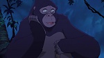 Image Tarzan 2 : L'Enfance d'un héros