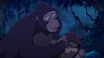 Image Tarzan 2 : L'Enfance d'un héros