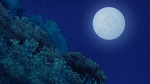 Image Tarzan 2 : L'Enfance d'un héros