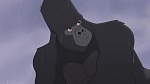 Image Tarzan 2 : L'Enfance d'un héros