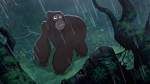 Image Tarzan 2 : L'Enfance d'un héros