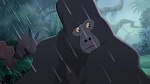 Image Tarzan 2 : L'Enfance d'un héros
