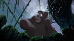 Image Tarzan 2 : L'Enfance d'un héros
