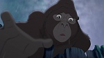 Image Tarzan 2 : L'Enfance d'un héros