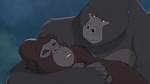 Image Tarzan 2 : L'Enfance d'un héros