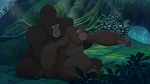 Image Tarzan 2 : L'Enfance d'un héros