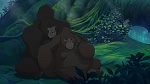 Image Tarzan 2 : L'Enfance d'un héros