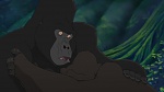 Image Tarzan 2 : L'Enfance d'un héros