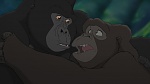 Image Tarzan 2 : L'Enfance d'un héros