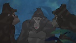 Image Tarzan 2 : L'Enfance d'un héros