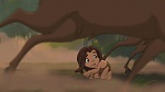 Image Tarzan 2 : L'Enfance d'un héros