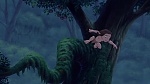 Image Tarzan 2 : L'Enfance d'un héros