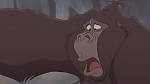 Image Tarzan 2 : L'Enfance d'un héros
