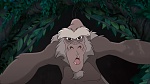 Image Tarzan 2 : L'Enfance d'un héros