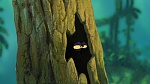 Image Tarzan 2 : L'Enfance d'un héros