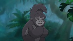 Image Tarzan 2 : L'Enfance d'un héros