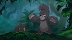 Image Tarzan 2 : L'Enfance d'un héros