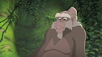 Image Tarzan 2 : L'Enfance d'un héros