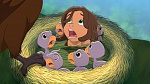 Image Tarzan 2 : L'Enfance d'un héros