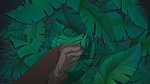 Image Tarzan 2 : L'Enfance d'un héros