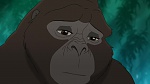 Image Tarzan 2 : L'Enfance d'un héros