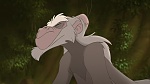 Image Tarzan 2 : L'Enfance d'un héros