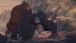 Image Tarzan 2 : L'Enfance d'un héros