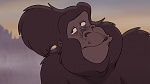 Image Tarzan 2 : L'Enfance d'un héros