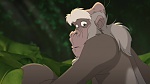 Image Tarzan 2 : L'Enfance d'un héros