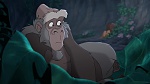 Image Tarzan 2 : L'Enfance d'un héros