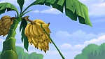Image Tarzan 2 : L'Enfance d'un héros