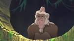 Image Tarzan 2 : L'Enfance d'un héros