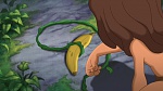 Image Tarzan 2 : L'Enfance d'un héros