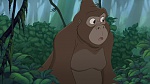 Image Tarzan 2 : L'Enfance d'un héros