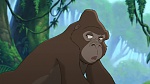 Image Tarzan 2 : L'Enfance d'un héros