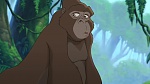 Image Tarzan 2 : L'Enfance d'un héros