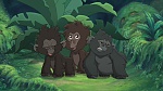 Image Tarzan 2 : L'Enfance d'un héros