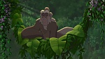 Image Tarzan 2 : L'Enfance d'un héros