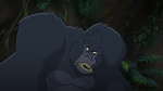 Image Tarzan 2 : L'Enfance d'un héros