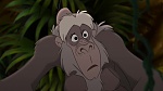 Image Tarzan 2 : L'Enfance d'un héros