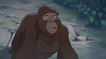 Image Tarzan 2 : L'Enfance d'un héros