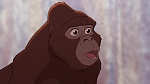 Image Tarzan 2 : L'Enfance d'un héros
