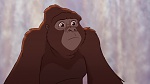 Image Tarzan 2 : L'Enfance d'un héros