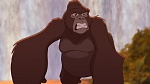 Image Tarzan 2 : L'Enfance d'un héros
