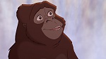 Image Tarzan 2 : L'Enfance d'un héros