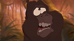 Image Tarzan 2 : L'Enfance d'un héros