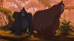 Image Tarzan 2 : L'Enfance d'un héros