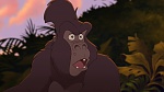 Image Tarzan 2 : L'Enfance d'un héros
