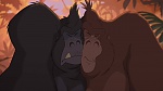 Image Tarzan 2 : L'Enfance d'un héros